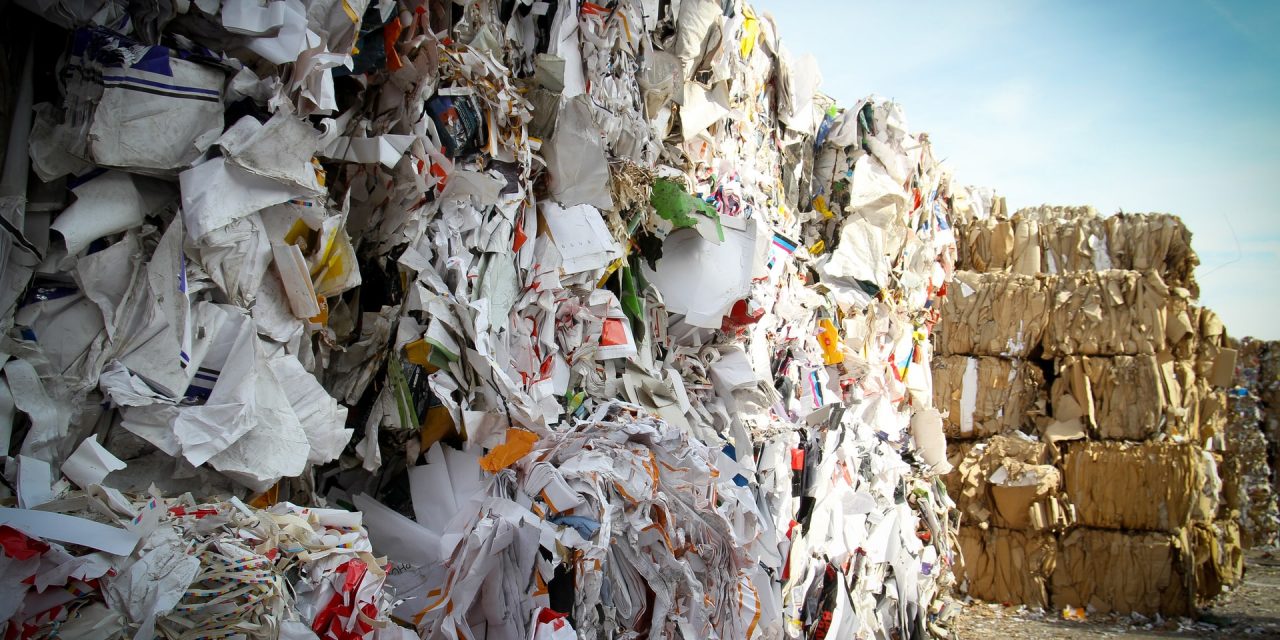 The ultimate guide to paper recycling