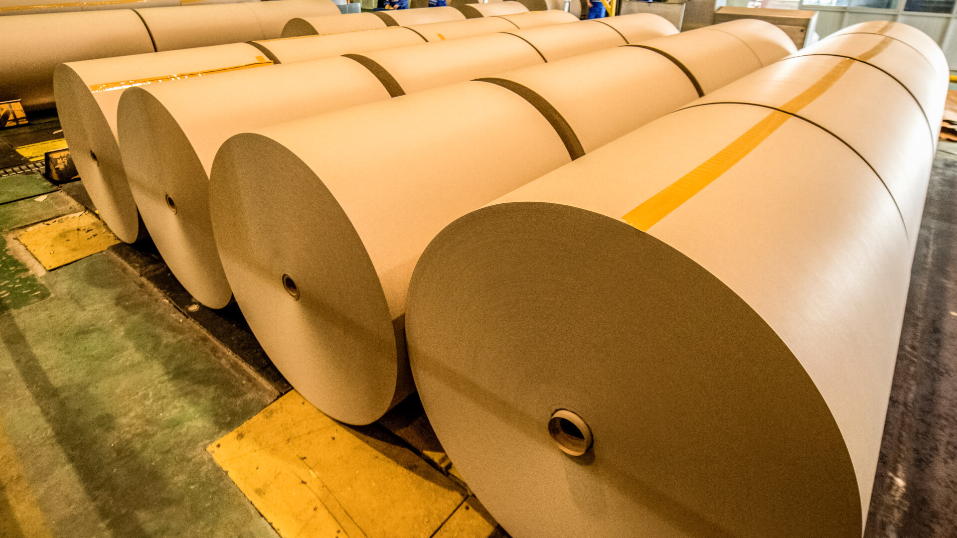 Kraft Paper Exporter From India Dominus Paper